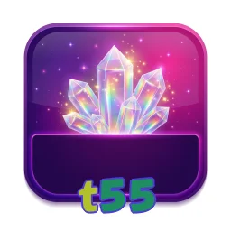 t55
